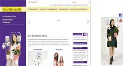 Desktop Screenshot of evi-benesch.com